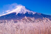 FUJI