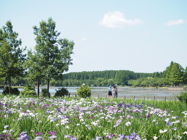 水元公園