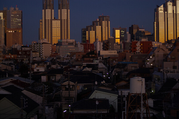 【MFS】夕暮れの西新宿墓地