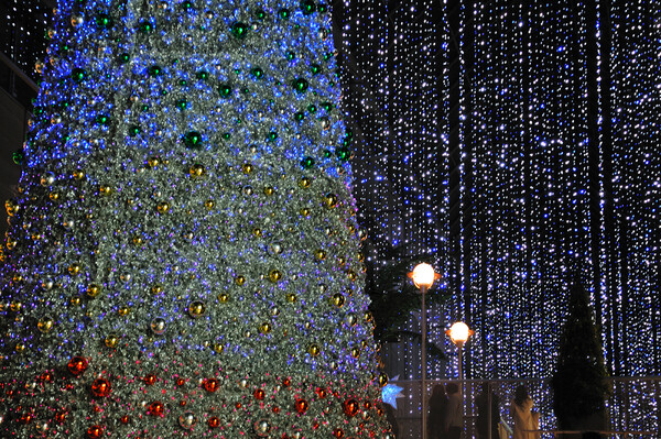 神戸のクリスマスツリー
