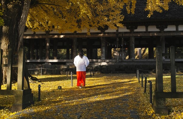新宮熊野神社　２