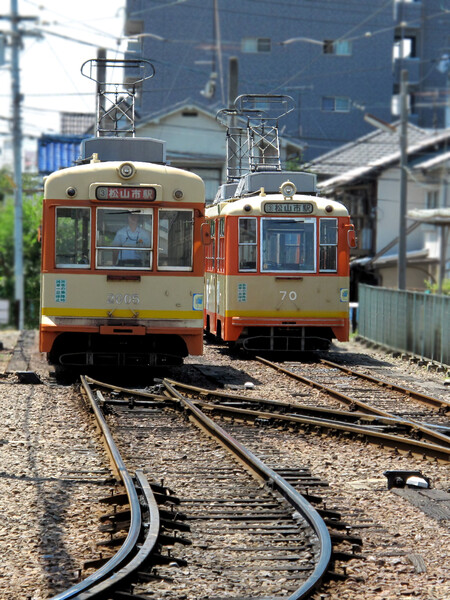 松山市内電車