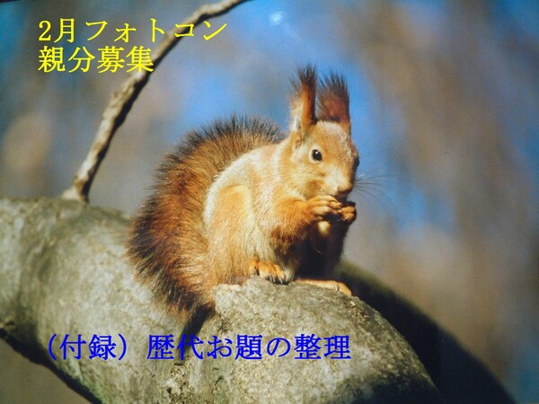 2月親分募集 (付録)歴代お題