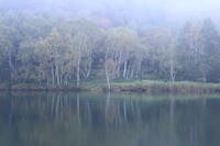 霧の木戸池