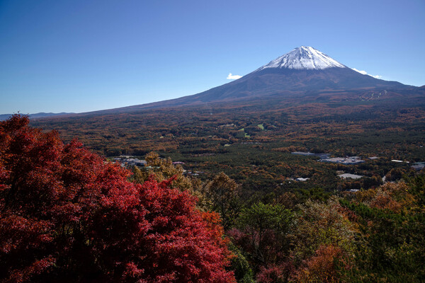 富士山裾野の色付き