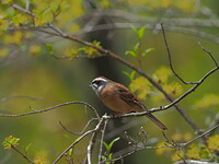 自然公園の中で・・