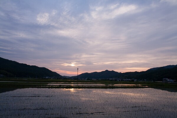 雲の多い日の夕焼け。