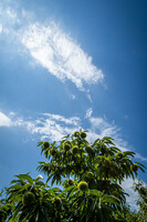 東松山の空