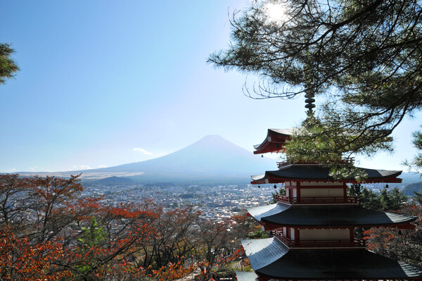 富士を眺める。