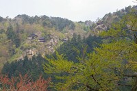 春の山寺