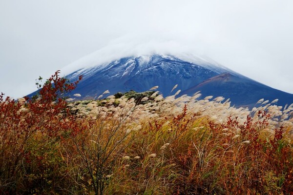 富士山新五合目からの紅葉と冠雪
