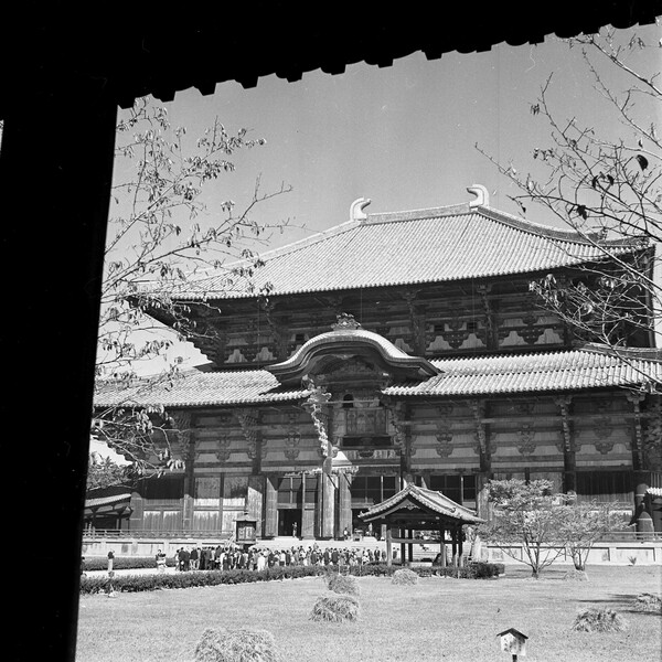 【モノクロ】奈良東大寺