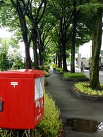 ポスト と 並木