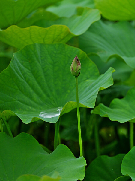 次の出番です