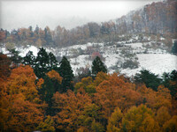 ベランダから見た山の秋冬