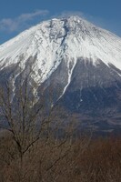 今日の富士山です。馬飼野牧場から