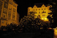 プラハの夜に咲く