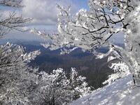 高見山山頂