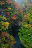 【絵のような】峡谷の秋