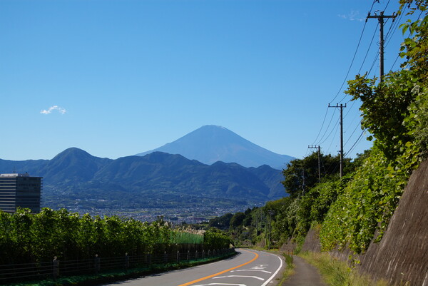 また、富士山です。