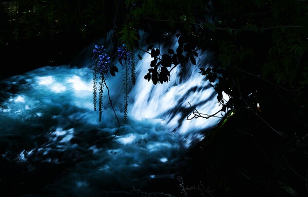 bluemoment