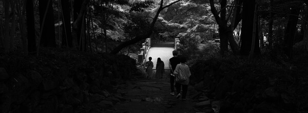 橋