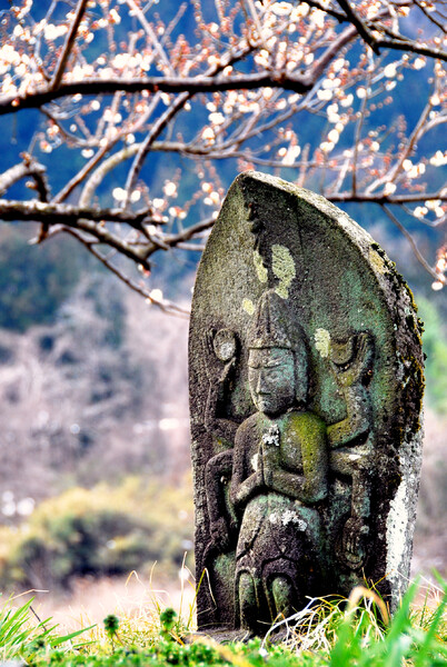【花のある風景】　梅と阿修羅像