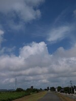 ひさしぶりの夏空^^;