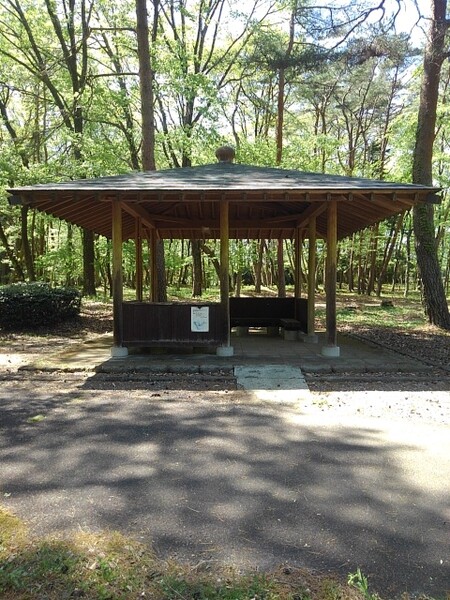 森の休憩所