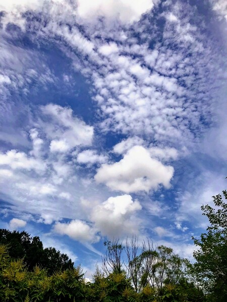 夏の空