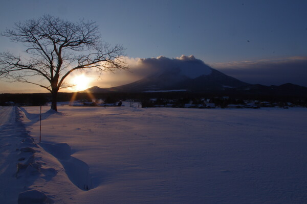 【夕日】　岩手山と一本胡桃