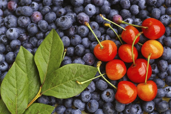 やっぱり赤が。。