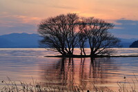 琵琶湖 夕景