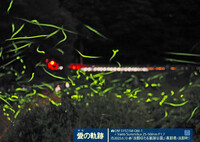 ほどほどの成功〜Ekio2〜