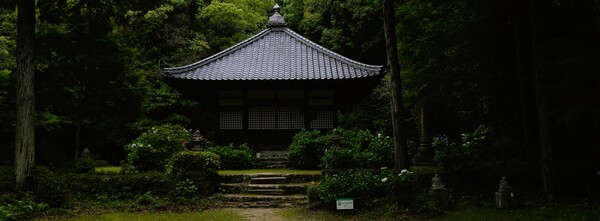 夏