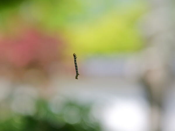 下がりもの要注意