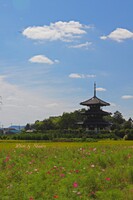 奈良県法起寺