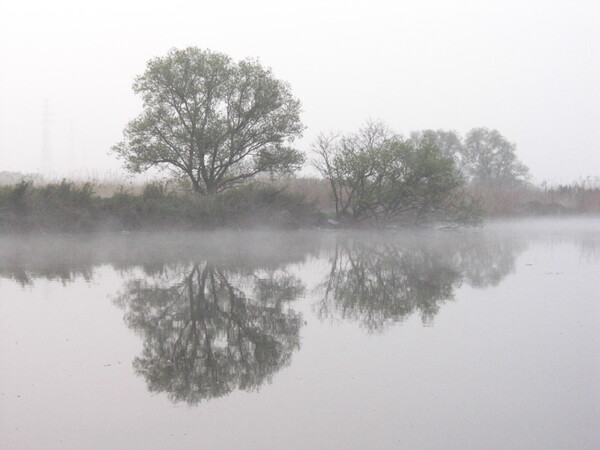 朝靄と川面