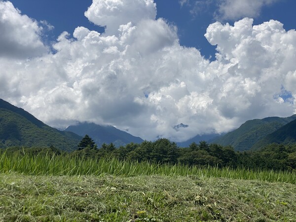 故郷の山はありがたきかな
