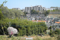 館町の風景　４月１７日