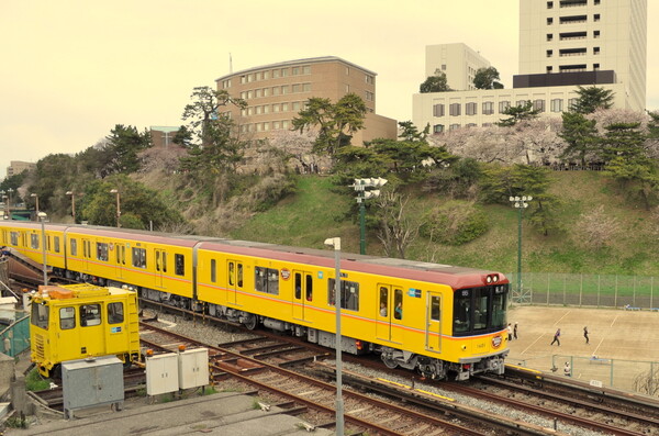 桜と東京メトロ丸の内線を走る銀座線車両