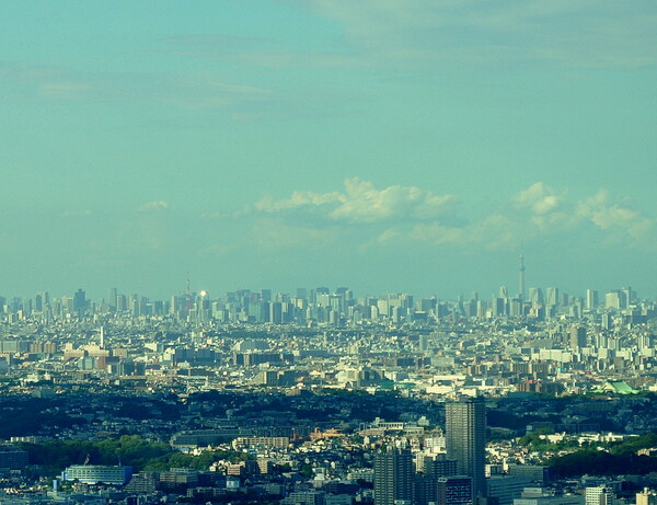 横浜からの風景