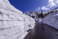春山の残雪壁