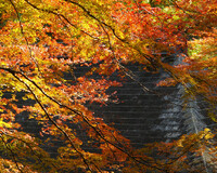 室生寺