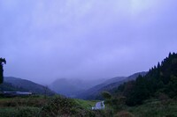 今朝は雨降り