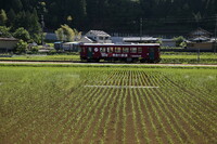 田園を行く長良川鉄道