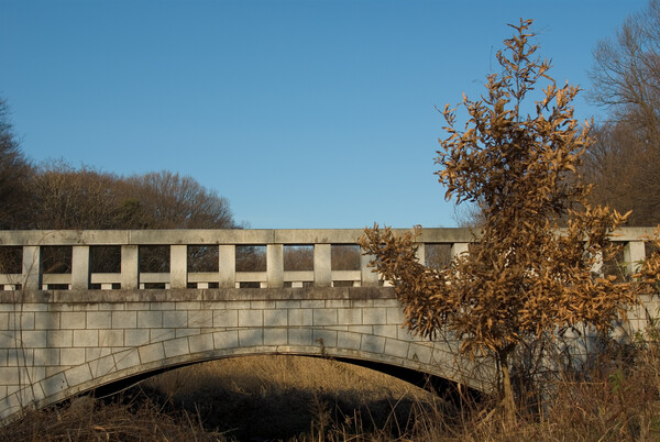 【寒】寒空