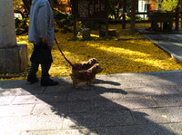 神社お参り