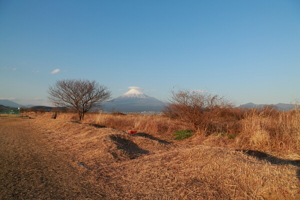 富士川河川敷の富士山
