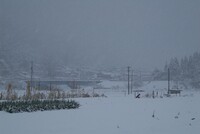 猛吹雪の農道＆田んぼ！